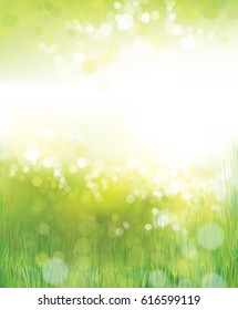 Vector Green Grass  Nature Background.