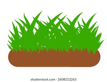 Vector of green grass on the ground. Illustration of green grass leaves growing on the ground surface.
