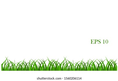 Vector green grass on a white background