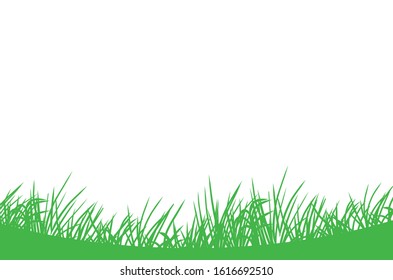 Vector green grass on white background.