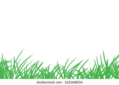Vector green grass on white background.