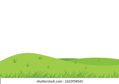 Vector green grass on white background.