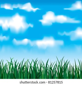 Vector green grass on a white clouds and blue sky background