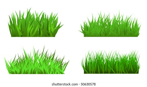 vector green grass set