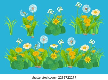  Vector green grass set with flowers, yellow dandelion, fluffy dandelion, buttercups. Grass bunch and seamless horizontal green lawn.