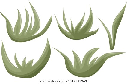Ilustración del sistema de la hierba verde del Vector, Clipart gráfico de la hierba