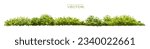 Vector of green grass or shrub isolated on white background,tree elevation for landscape concept,environment panorama scene,eco design,watercolor meadow for spring