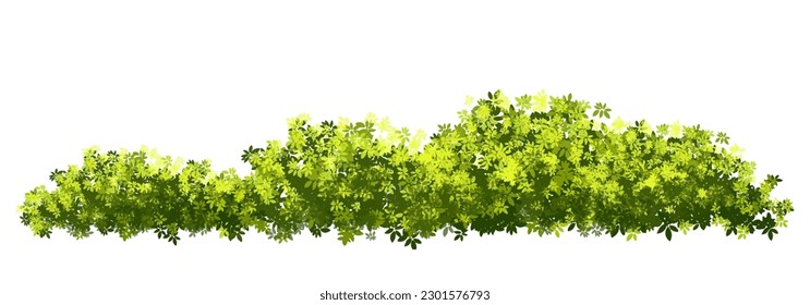 Vector de hierba verde o arbusto aislado en fondo blanco, elevación de árboles para concepto de paisaje, paisaje panorámica del medio ambiente, diseño ecológico, prado para primavera