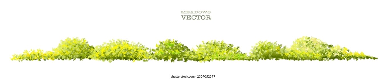 Vector de hierba verde o arbusto aislado en fondo blanco, elevación de árboles para concepto de paisaje, paisaje panorámica del medio ambiente, diseño ecológico, prado para primavera