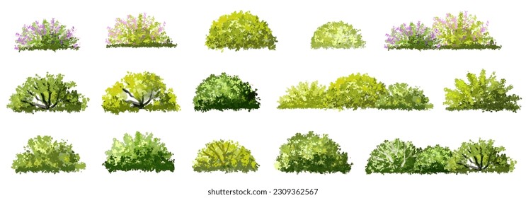 Vector de hierba verde o arbusto aislado en fondo blanco, elevación de árboles para concepto de paisaje, paisaje panorámica del medio ambiente, diseño ecológico, prado para primavera