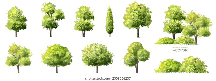 Vector of green grass or shrub isolated on white background,tree elevation for landscape concept,environment panorama scene,eco design,meadow for spring