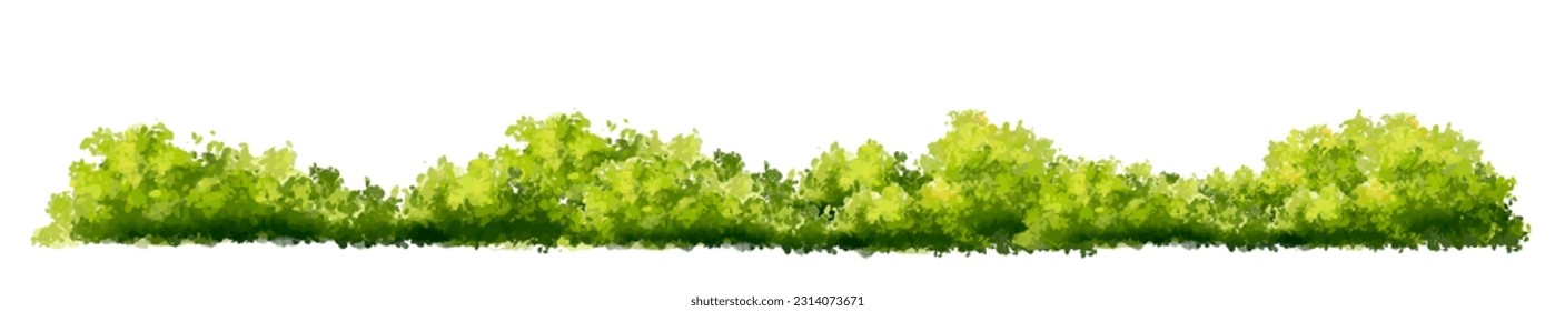 Vector of green grass or shrub isolated on white background,tree elevation for landscape concept,environment panorama scene,eco design,meadow for spring