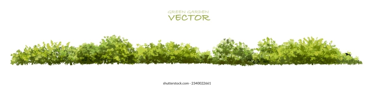 Vector of green grass or shrub isolated on white background,tree elevation for landscape concept,environment panorama scene,eco design,watercolor meadow for spring