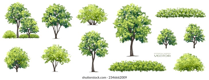 Vector of green grass or shrub isolated on white background,tree elevation for landscape concept,environment panorama scene,eco design,watercolor meadow for spring