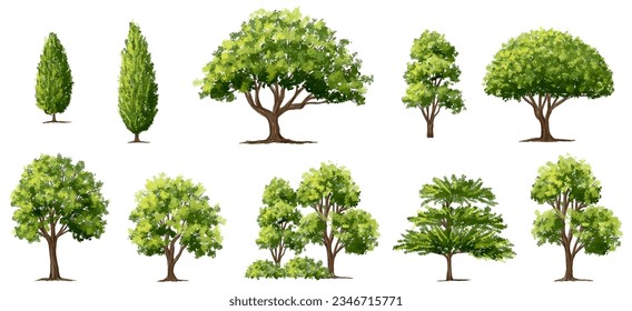 Vector of green grass or shrub isolated on white background,tree elevation for landscape concept,environment panorama scene,eco design,watercolor meadow for spring