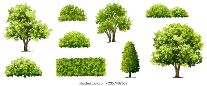 Vector of green grass or shrub isolated on white background,tree elevation for landscape concept,environment panorama scene,eco design,watercolor meadow for spring