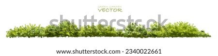 Vector of green grass or shrub isolated on white background,tree elevation for landscape concept,environment panorama scene,eco design,watercolor meadow for spring Stock foto © 