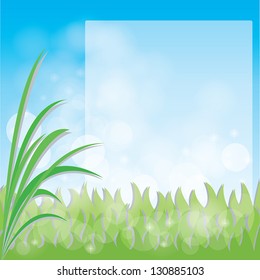 vector green grass with space for your text
