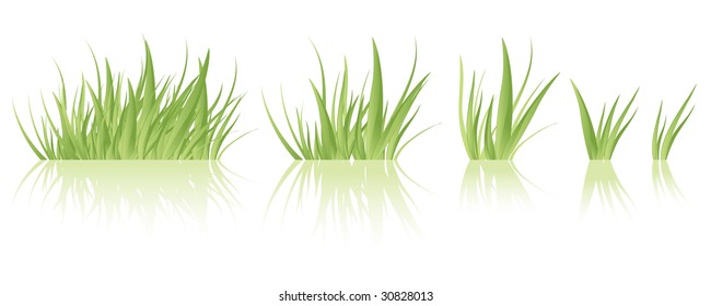 Vector green grass tufts, different sizes, isolated.