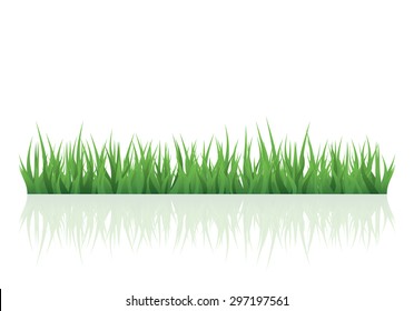 hierba verde vector para su proyecto con espacio de copia