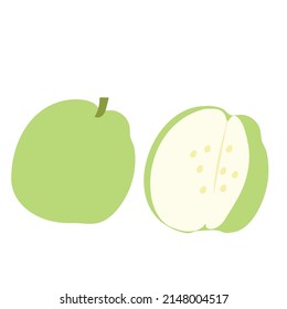 vector of green guava on white background