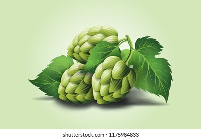 vector green hop cones, leaves with stem. Isolated illustration on a color background. Brewery industry floral symbol