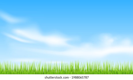 Vector green landscape. Sky, clouds and grass.