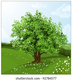 Vector. Green landscape with tree