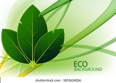 Hojas de laurel verde vectorial, diseño de pancarta ecológica, afiche