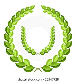 Vector green laurel wreath. Detailed portrayal.