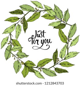 Vector green laurus leaf. Leaf plant botanical garden floral foliage. Frame border ornament square. Vector leaf for background, texture, wrapper pattern, frame or border.