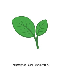 Vector Green Laves Isolated on White Background, Leaf, Nature Design Element, Vector Art.