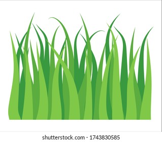 Vector green lawn grass texture illustration: natural, organic, bio, eco label and shape on white background. Ground land pattern.	
