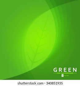 Vector green leaf background