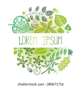 Vector Green leaf, branches,berries,acorn in round composition.Spring,summer Stylized  design template for web page ,print background ,invitation,card,bio ecology poster,natural.