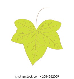 Vector green leaf with a bush
