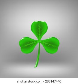 Vector Green Leaf Clover Isolated on Grey Background