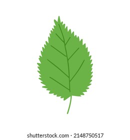 Vector green leaf doodle illustration