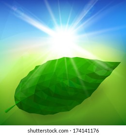 Vector green leaf ecology on lighting blue and green background.