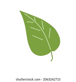 vector green leaf in flat and cartoon graphics. leaf botanical illustration on a white background