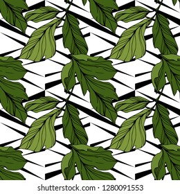 Vector Green leaf. Floral botanical flower. Wild spring leaf wildflower isolated. Engraved ink art. Seamless background pattern. Fabric wallpaper print texture.