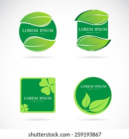 Vector green leaf frame on a white background, Labels and Stickers