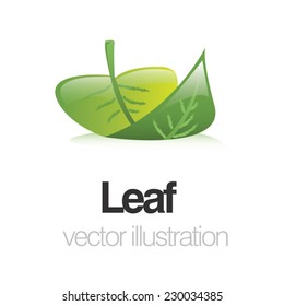 Vector green leaf illustration