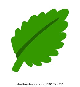 vector green leaf illustration, nature and organic concept - ecology symbol