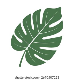 vetor folha verde isolada sobre fundo branco