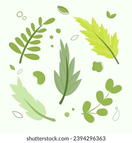 vector green leaf leaves set elements illustrations nature