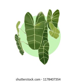 Vector green leaf on circle background to do card illustration. 