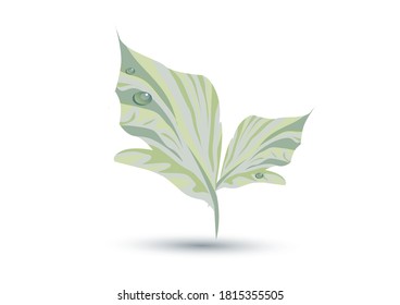 
vector green leaf on white background