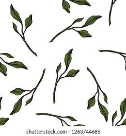 Vector. Green leaf plant botanical garden floral foliage. Engraved ink art. Seamless pattern on white background. Fabric wallpaper print texture.