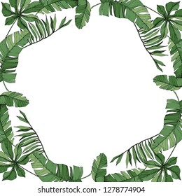 Vector Green leaf plant botanical garden floral foliage. Engraved ink art. Exotic tropical hawaiian summer. Palm beach tree leaves jungle botanical. Frame border ornament square.